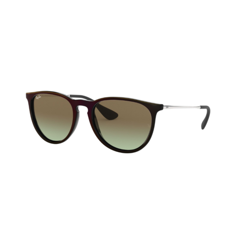 Ray Ban Erika 4171 6316E8 54