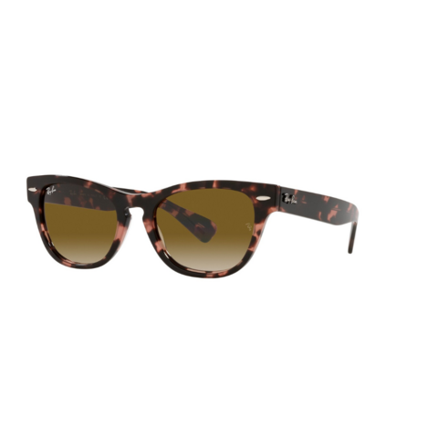 Ray Ban Laramie 2201 133451 54