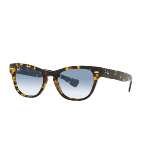 Ray Ban Laramie 2201 13323F 54