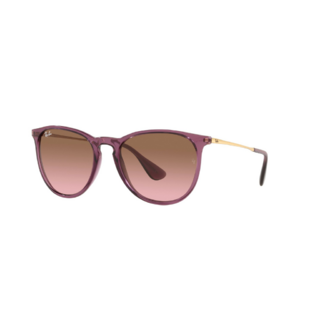 Ray Ban Erika 4171 659114 54