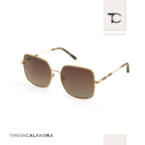 Teresa Calandra Helena Tortoise