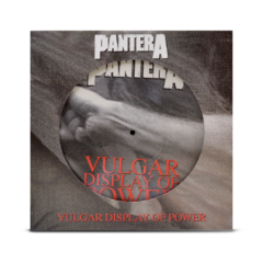 PANTERA THE COMPLETE STUDIO ALBUMS 1990-2000 (PICTURE DISC BOX SET) VINIL BOX SET 2023 05-LPS - comprar online