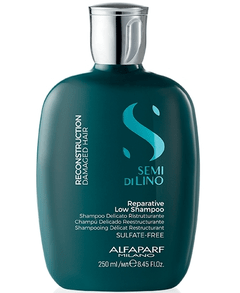 SHAMPOO REPARATIVE ALFAPARF