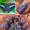 M&N - Blue Clipper Butterfly