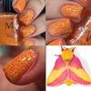 M&N - Rosy Maple Moth