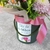 Arranjo Flores Mistas Dia das Mães - comprar online