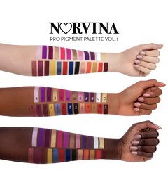 Anastasia Norvina Pro pigment palette Vol. 1 - comprar en línea