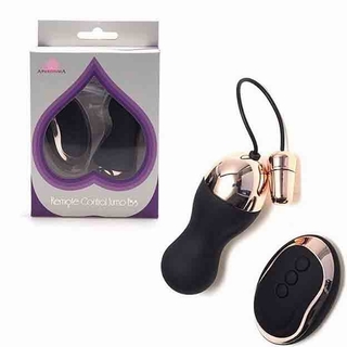 https://www.purainspiracao.com.br/produtos/capsula-vibratoria-recarregavel-ponto-g-wireless/