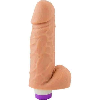 https://www.purainspiracao.com.br/produtos/protese-com-vibrador-e-escroto-18-x-5cm-sexy-fantasy/