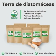 Terra de Diatomácea - 100G - comprar online