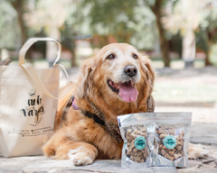 Mini cookies para perritos