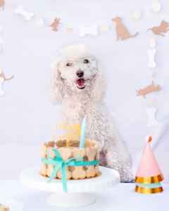 HAPPY PETS CAKE en internet