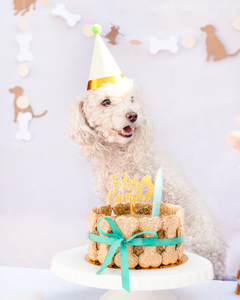 HAPPY PETS CAKE - comprar online