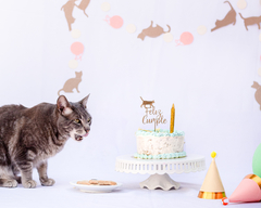 HAPPY PETS CAKE - comprar online