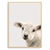 Quadro baby ovelha - Inspira Decore