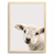 Quadro baby ovelha