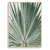 Quadro Palm Ment - Inspira Decore