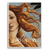 Quadro vênus Sandro botticelli - comprar online