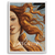 Quadro vênus Sandro botticelli - loja online