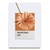 Quadro pantone flor laranja na internet