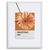 Quadro pantone flor laranja - loja online