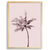 Quadro palm pink