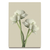 Quadro flores blanc - comprar online