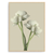 Quadro flores blanc