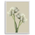 Quadro flores blanc - loja online