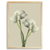 Quadro flores blanc