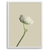 Quadro blanc flor - loja online