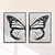 Composição de 2 quadros, borboleta