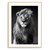 Quadro power face lion - Inspira Decore