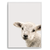 Quadro baby ovelha - comprar online