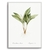 Quadro biblioteca leaf - Inspira Decore