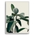 Quadro Olive - Inspira Decore