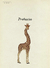 ANIMALIUM en internet