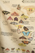 Tapiz/Lona Mariposas del mundo en internet