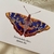 Postales Mariposas del mundo - Mapoteca