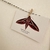 Postales Mariposas del mundo - tienda online