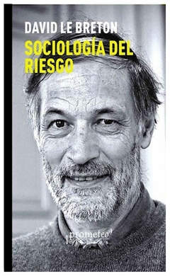 Sociología del riesgo