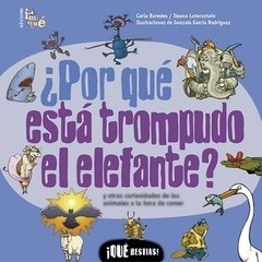 ¿Por qué está trompudo el elefante?