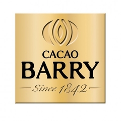 Cacao En Polvo Puro Alcalino Calidad Extra Premium Barry Callebaut (A Granel) - TEMPLE ORGANICO - Tienda De Alimentos Orgánicos y Agroecológicos