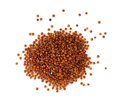 Quinoa Roja Agroecológica Boliviana