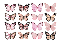 Mariposas KIT ROSA