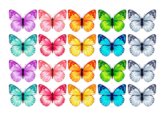 Mariposas MIX COLOR -02