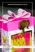 Caixa Vitrine - Barbie na internet