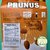 Leche de almendras PRUNUS en polvo 600 gr - comprar online