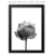 quadro flor de lotus preto e branca