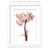 Quadro - Flor Flutuante - loja online